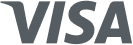 Visa Logo